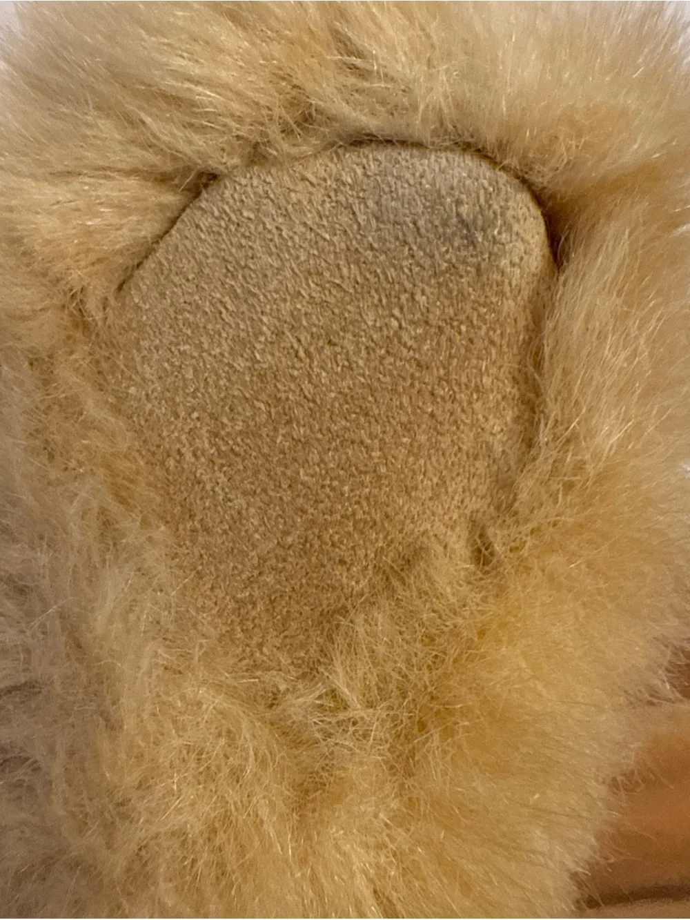 Gund 1985 Muttsy Puppy Dog Plush Large Floppy Golden Retriever 20in Soft VTG